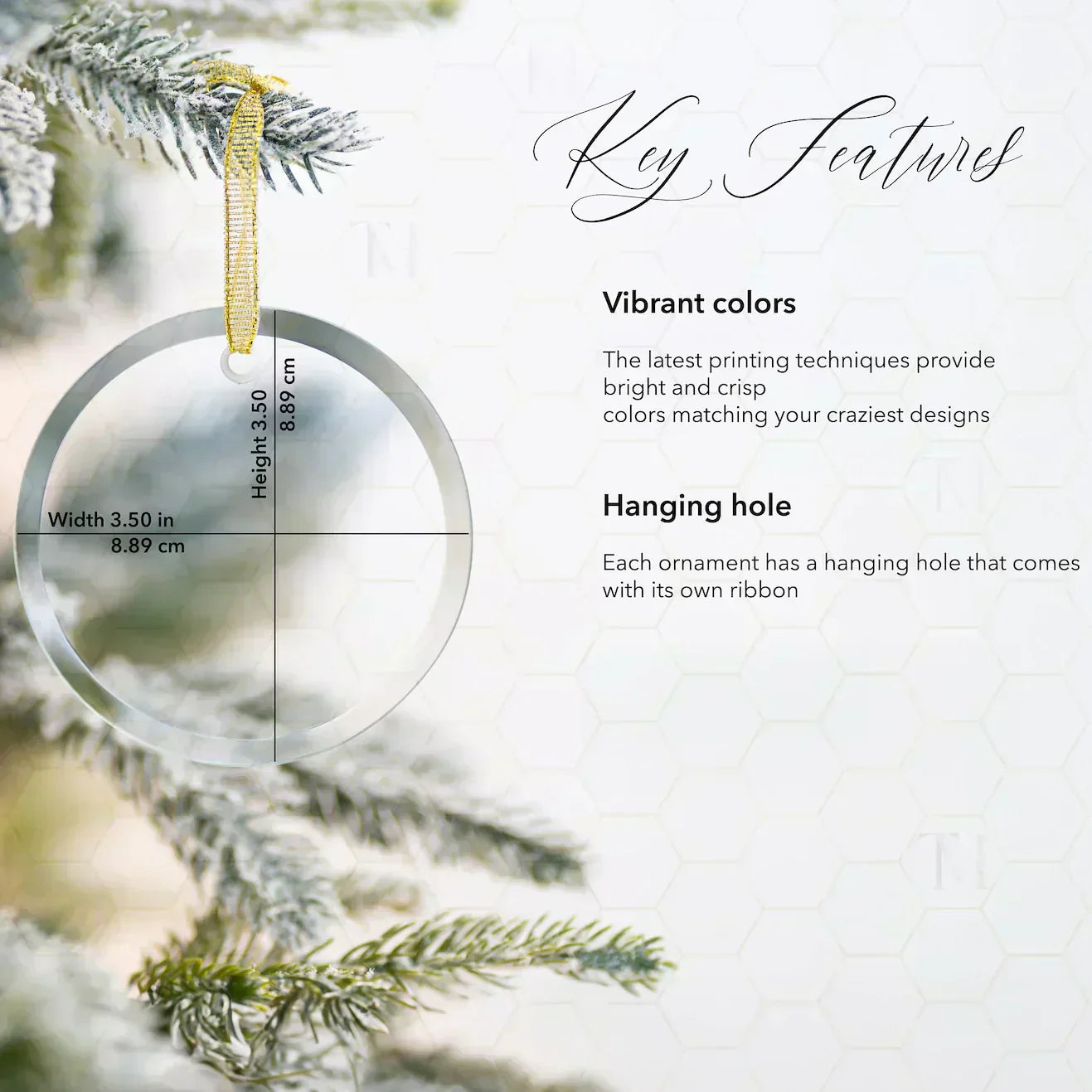 Shineful 2D Acrylic Ornament Corpus Christi Elegance