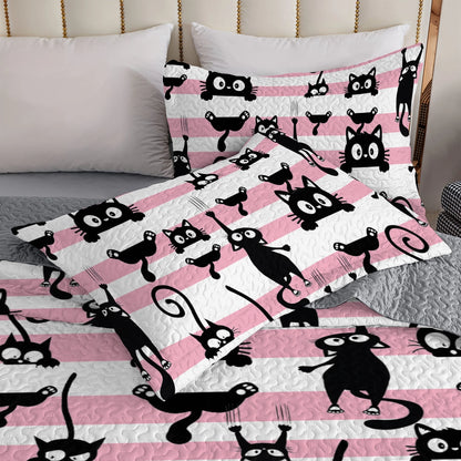 Shineful All Season Quilt 3-Piece Set - Curious Cats