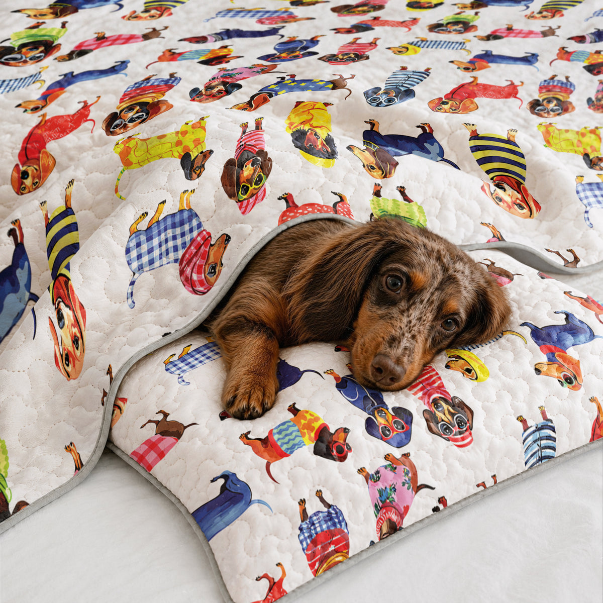 Shineful Quilt 3-Piece Set Dachshund Amazing Stylish