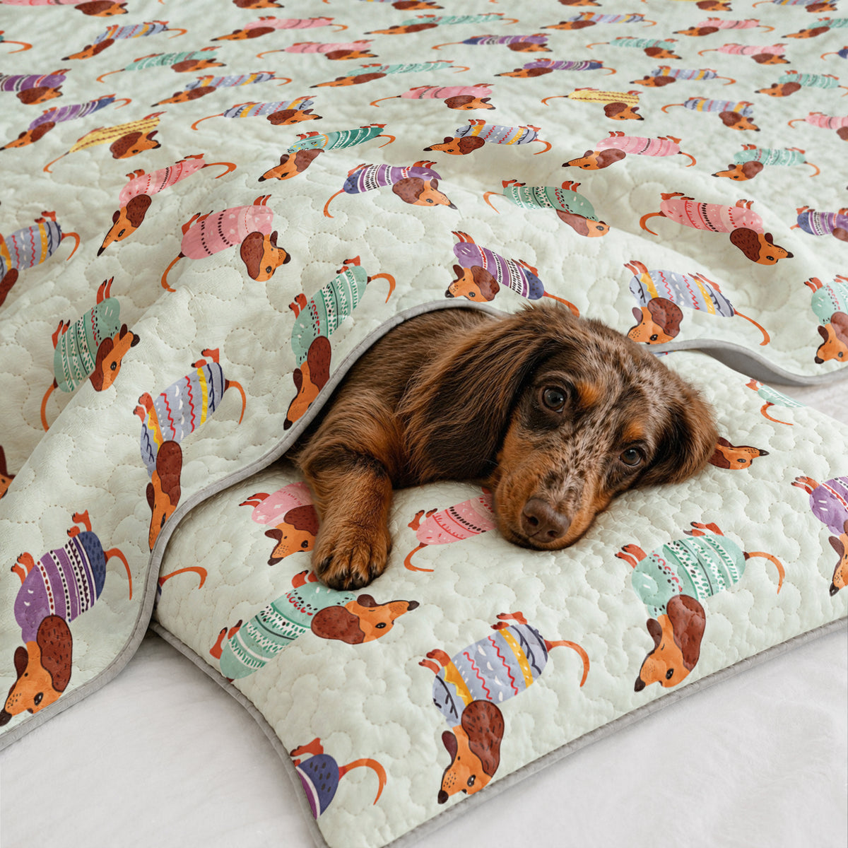 Shineful Quilt 3-Piece Set Colorful Dachshunds