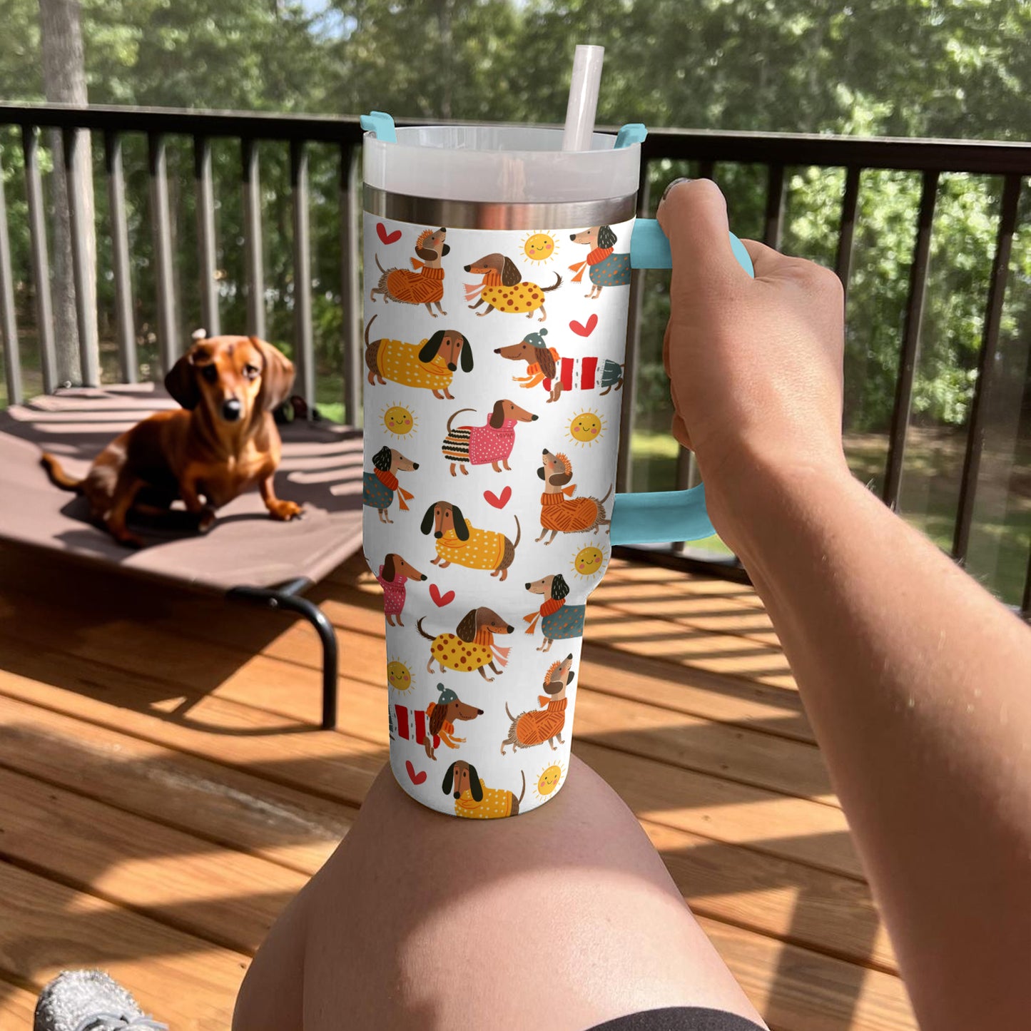 Shineful Tumbler Dachshund Little Sunshine