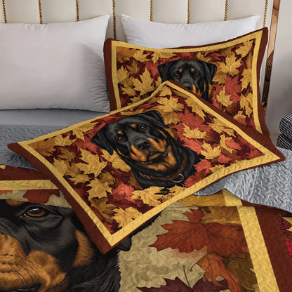 Shineful All Season Quilt 3-Piece Set - Fall Rottweiler Charm