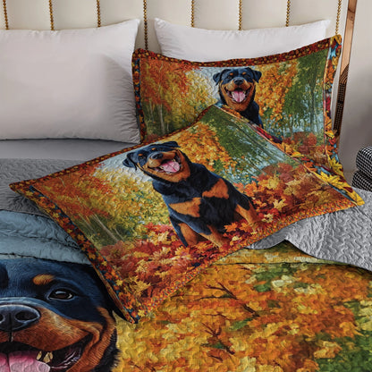 Shineful All Season Quilt 3-Piece Set - Fall Frolic with My Rottweiler