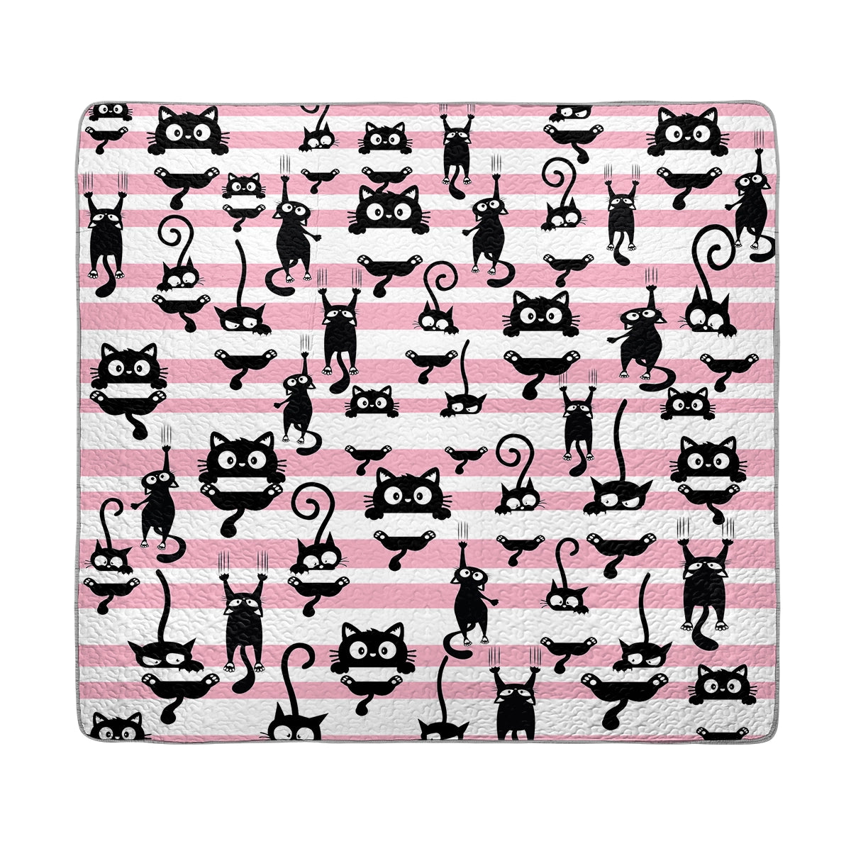 Shineful All Season Quilt 3-Piece Set - Curious Cats