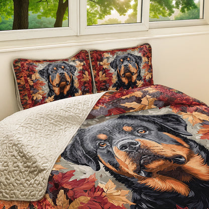 Shineful All Season Quilt 3-Piece Set - Rottweiler Majesty
