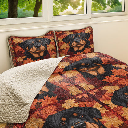 Shineful All Season Quilt 3-Piece Set - Rottweiler & Autumn Leaves