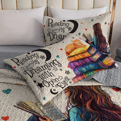 Shineful All Season Quilt 3-Piece Set Dreamer's Haven