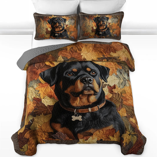 Shineful All Season Quilt 3-Piece Set - Rottweiler's Fall Foliage