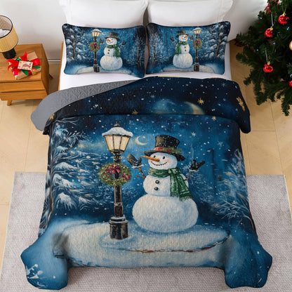 Shineful All Season Quilt 3-Piece Frosty Night