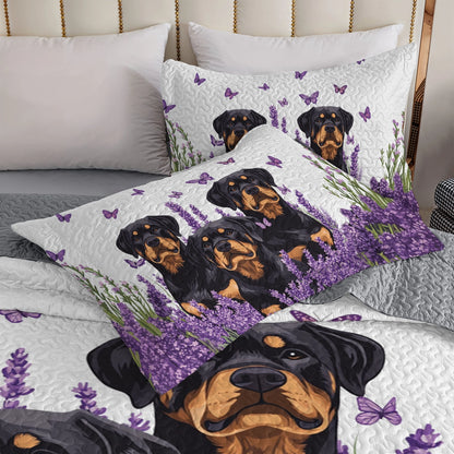Shineful All Season Quilt 3-Piece Set - Lavender Rottweiler Dreams