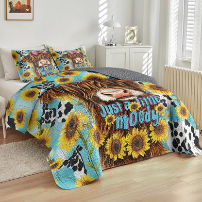 Shineful All Season Quilt 3-Piece Set Just A Little Moody