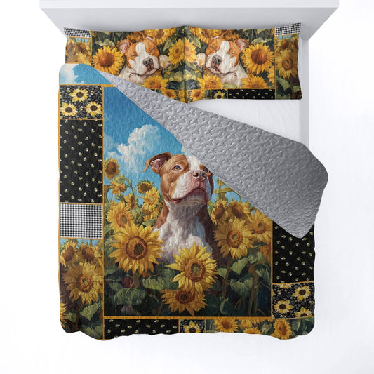 Shineful All Season Quilt 3-Piece Set Pitbull Sunshine