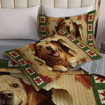 Shineful All Season Quilt 3-Piece Set Golden Retriever Joy