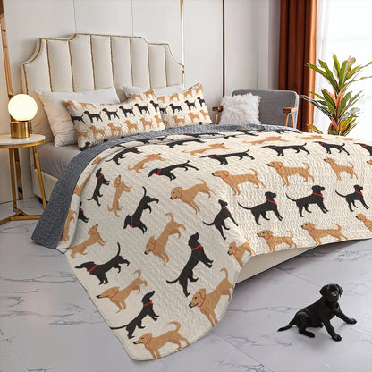 Shineful All Season Quilt 3-Piece Set - Pawsome Labrador
