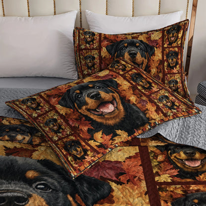 Shineful All Season Quilt 3-Piece Set - Rottweiler's Harvest Hues