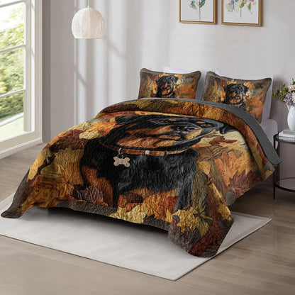 Shineful All Season Quilt 3-Piece Set - Rottweiler's Fall Foliage