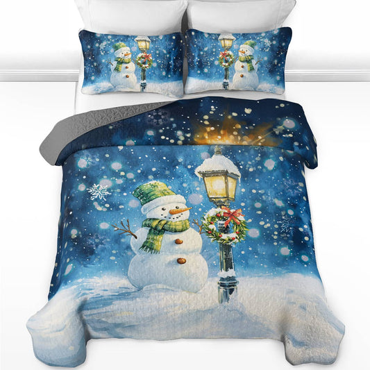 Shineful All Season Quilt 3-Piece Set Snowy Charm