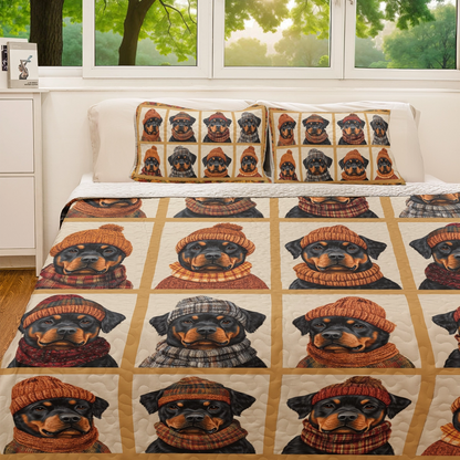 Shineful All Season Quilt 3-Piece Set - Rottie Fall Sweater