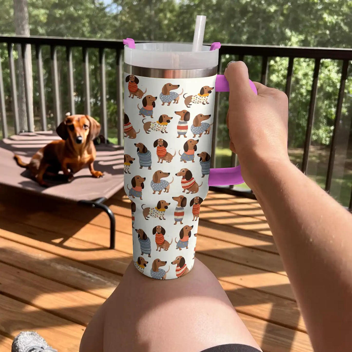Shineful Tumbler Cute Dachshunds Lovely