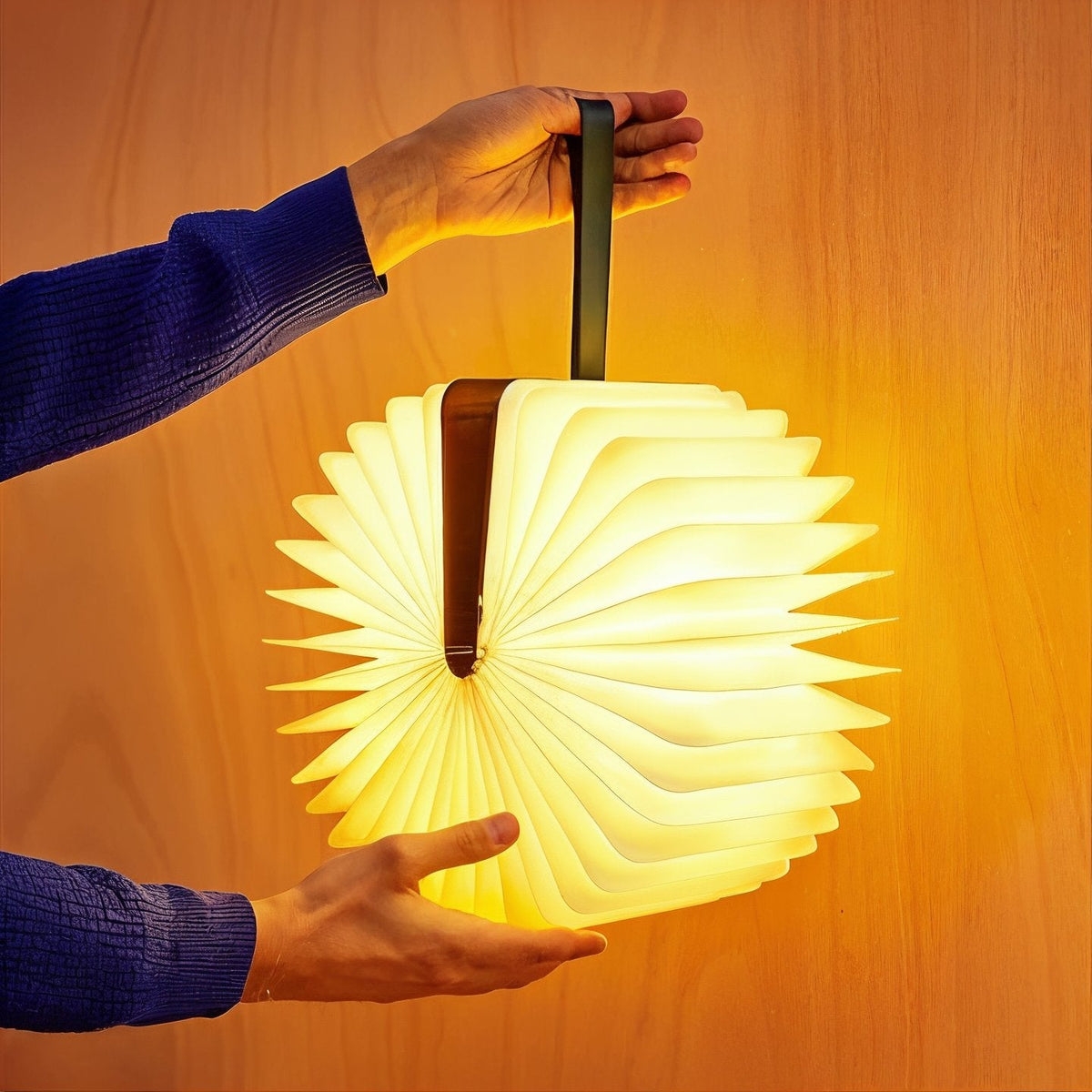 Shineful Price And Prejudice Wooden Book Lamp