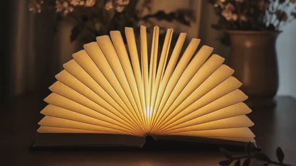 Shineful Fantasy Reading Nook Wooden Book Lamp